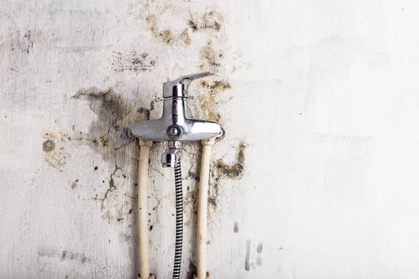 Best Commercial Mold Remediation in Deltona, FL